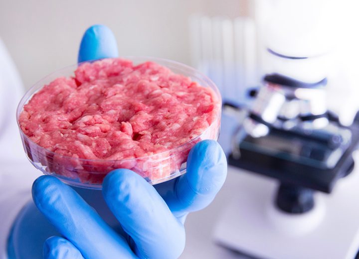 Making Cultivated Meat Sustainable Starts With Growth Factors