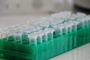 How T4 DNA ligase performance depends on reaction setup