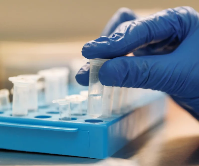 Mastering T4 DNA Ligase: protocols, buffers, and troubleshooting tips